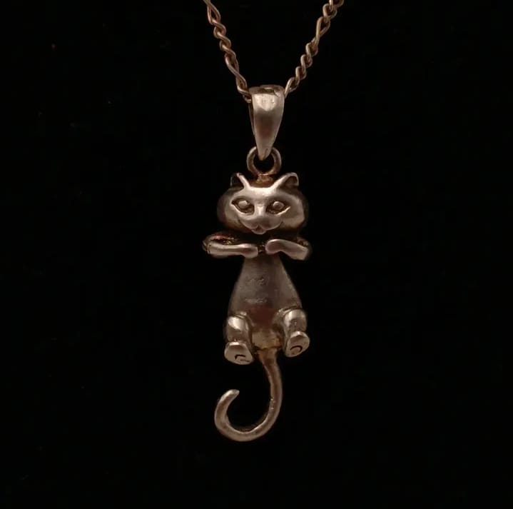 Cadena y colgante de plata 925