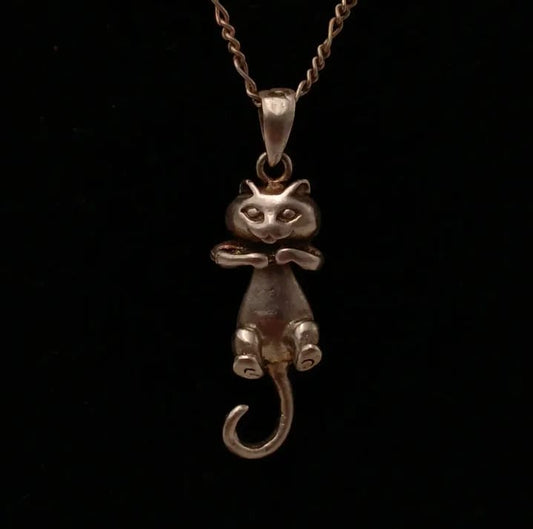Cadena y colgante de plata 925