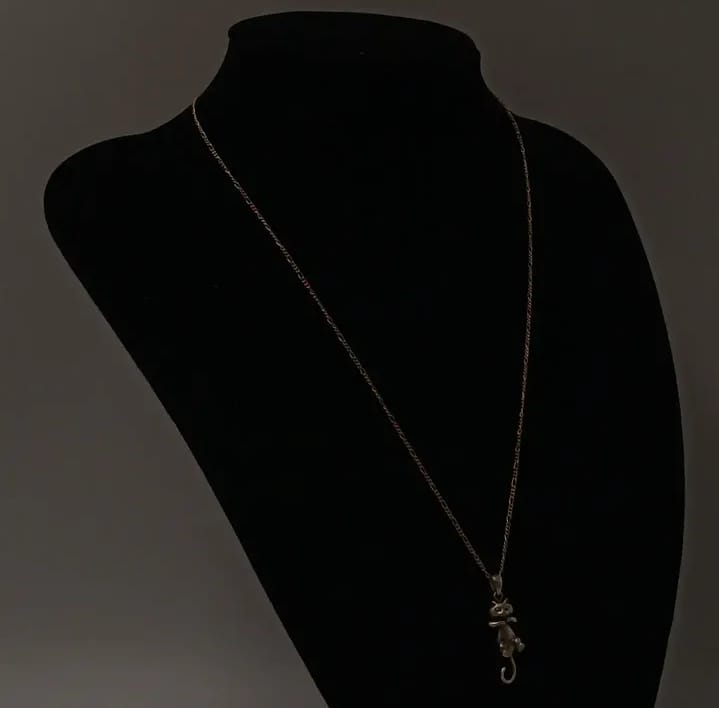 Cadena y colgante de plata 925