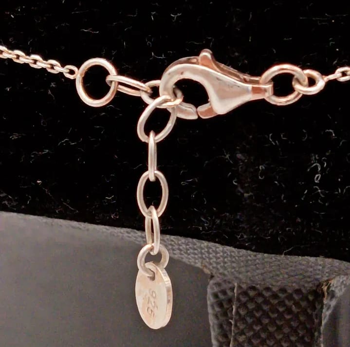 Colgante y cadena de plata 925