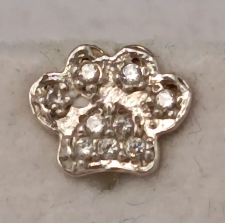 Aros de plata