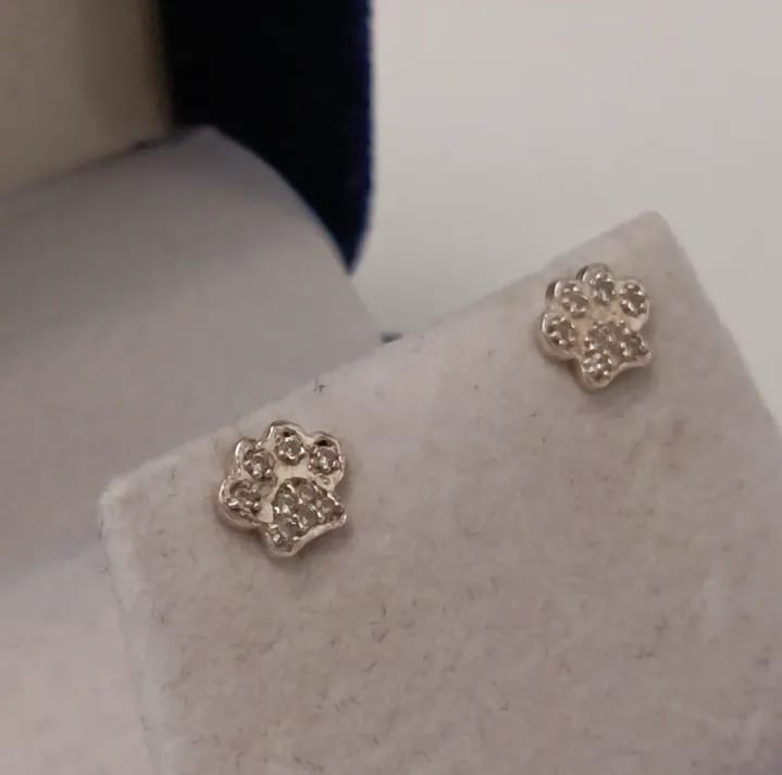 Aros de plata