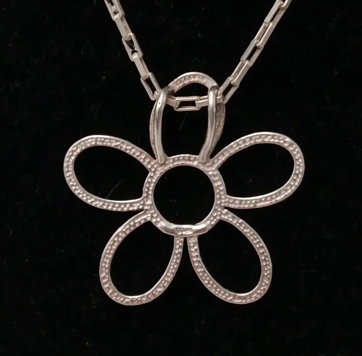 Cadena y colgante de plata 925